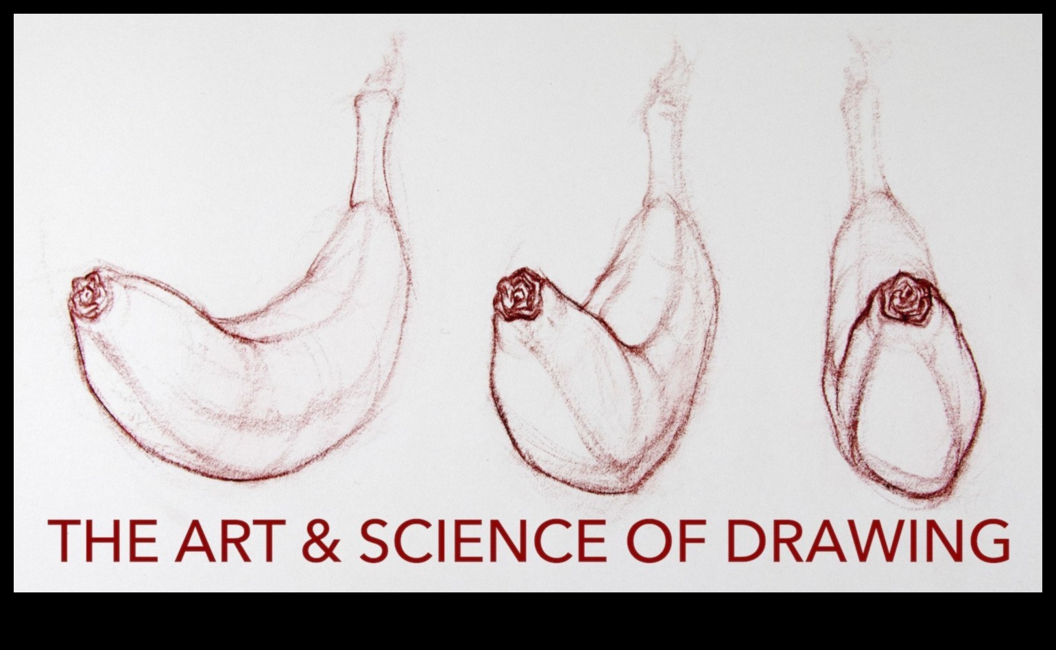 الدقة في الممارسة: نقل الأفكار من خلال التوضيح العلمي