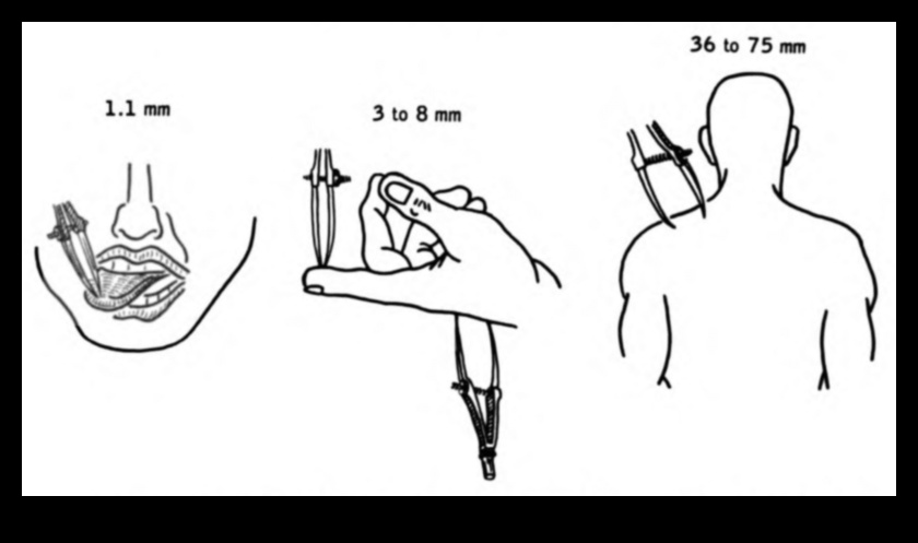السكتات الدماغية الحسية: إضافة عناصر اللمس إلى الرسومات