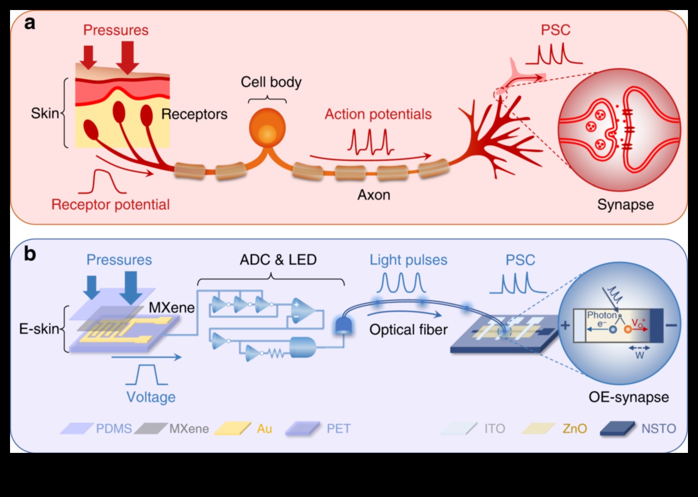 السكتات الدماغية الحسية: إضافة عناصر اللمس إلى الرسومات