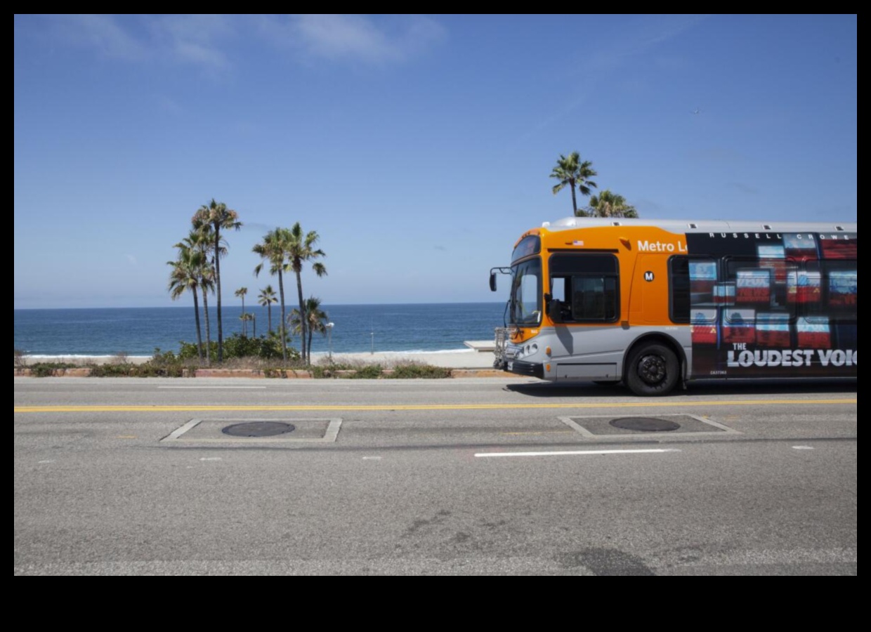 حكايات الحافلات: قصص من قلب النقل العام