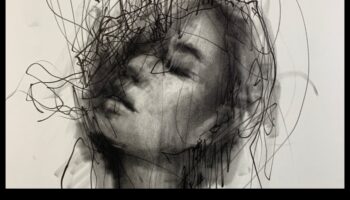 اندماج الفحم والحبر: استكشاف المجموعات الديناميكية