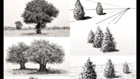 عمق الرسم: تقنيات إنشاء تأثيرات ثلاثية الأبعاد بالحبر