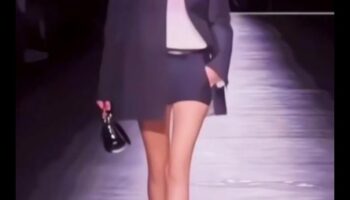 سلسلة سجلات أنيقة: الكشف عن فصول جديدة في الأسلوب