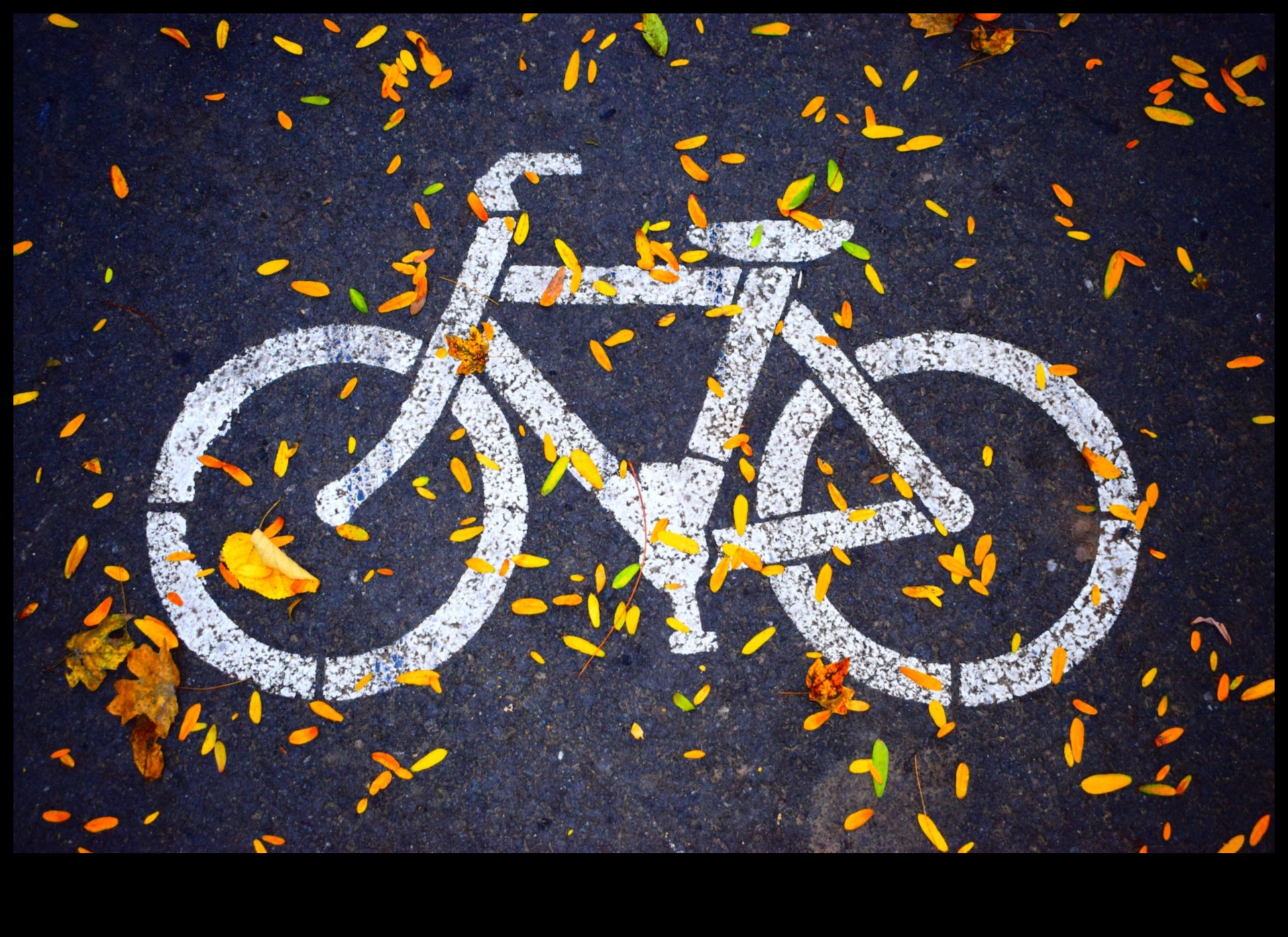 مستقبل ركوب الدراجات: الابتكارات التي تشكل مشهد ركوب الدراجات